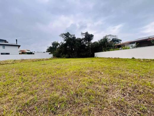 Terreno de 1.453 m² | Riviera Módulo 12, Riviera de São Lourenço — foto 5