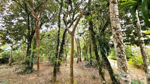 Terreno de 646 m² | Riviera Módulo 05, Riviera de São Lourenço — foto 5