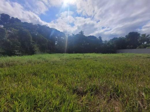 Terreno de 1 m² | Riviera Módulo 12, Riviera de São Lourenço — foto 4