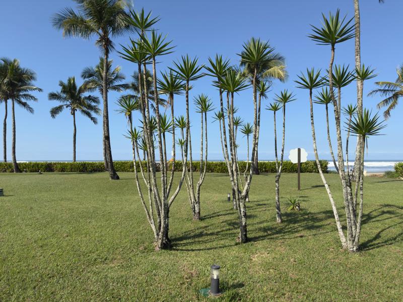 Jardim compartilhado (PI) do Módulo 05 — Coqueiros, Riviera de São Lourenço — foto 7
