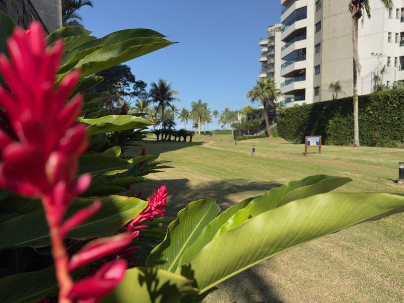 Jardim compartilhado (PI) do Módulo 06 — Sambaquis, Riviera de São Lourenço — foto 14