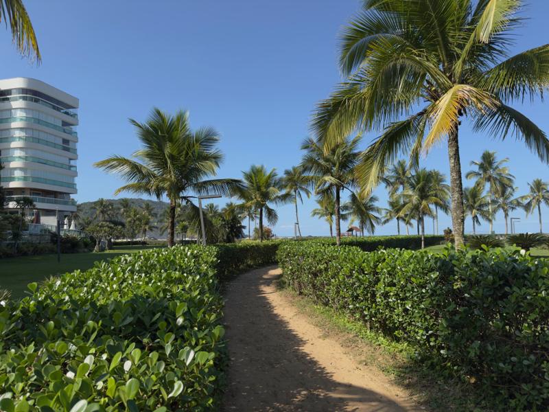 Jardim compartilhado (PI) do Módulo 07 — Jequitibás, Riviera de São Lourenço — foto 1