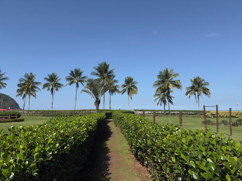 Jardim compartilhado (PI) do Módulo 08 — Fortes, Riviera de São Lourenço — foto 3