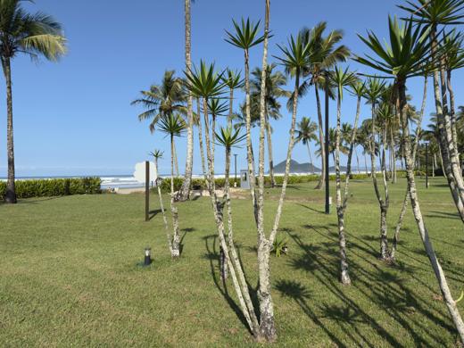 Jardim compartilhado (PI) do Módulo 05 da Riviera de São Lourenço — foto 3